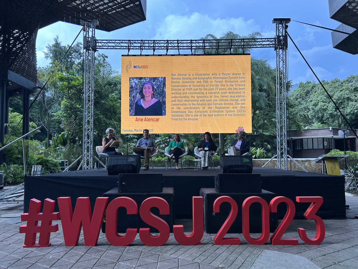 Holly Potter tweet media