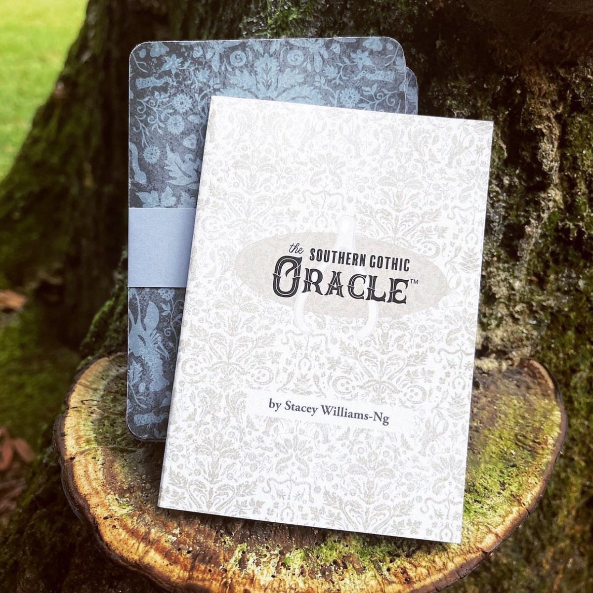 CemeteryRowPod's tweet photo. 🥀🪦BONUS EPISODE: Cemetery Symbolism, Oracle Decks and Magic with Stacey Williams-Ng🪦🥀
On this bonus episode of Cemetery Row, the girls chat with #Memphis artist Stacey Williams-Ng about her upcoming oracle deck based on #Cemeterysymbolism.
https://t.co/LUIUsEbf6y
#taphophile https://t.co/zi3TP081yF