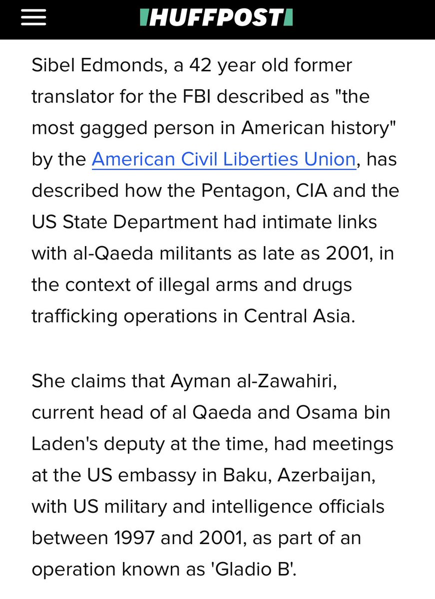“You’re just a conspiracy theorist on Twitter there is no ongoing domestic operation Gladio”

FBI whistleblower Sibel Edmonds: All the FBI agents I knew would refer to their links with Al Qaeda as “Gladio B”