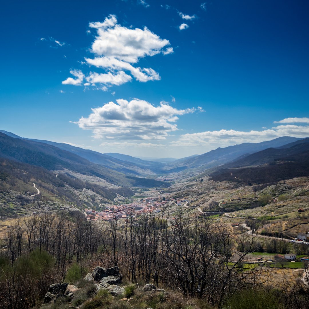 PICOTADELJERTE's tweet photo. Los mejores lugares para disfrutar de unas vistas espectaculares del #ValledelJerte
🌄🌄📷📷📷🌄🌄 👇👇👇👇
https://t.co/BaxNcN4pTg https://t.co/3V8ZDJ1xKT