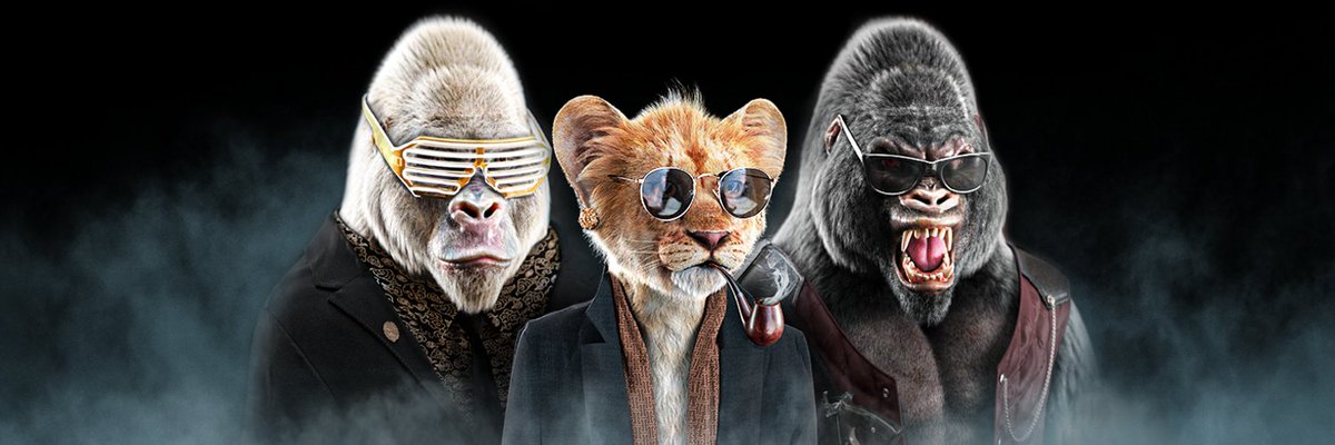 The Royal Cubs tweet media