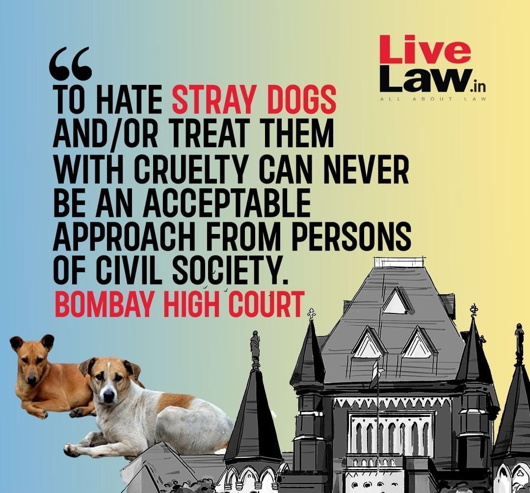 AntiCrueltyCell's tweet photo. BOMBAY HIGH COURT: 
TO HATE STRAY DOGS AND/OR TREAT THEM WITH CRUELTY CAN NEVER BE AN ACCEPTABLE APPROACH FROM PERSONS OF CIVIL SOCIETY. https://t.co/mRiedsZ3uL