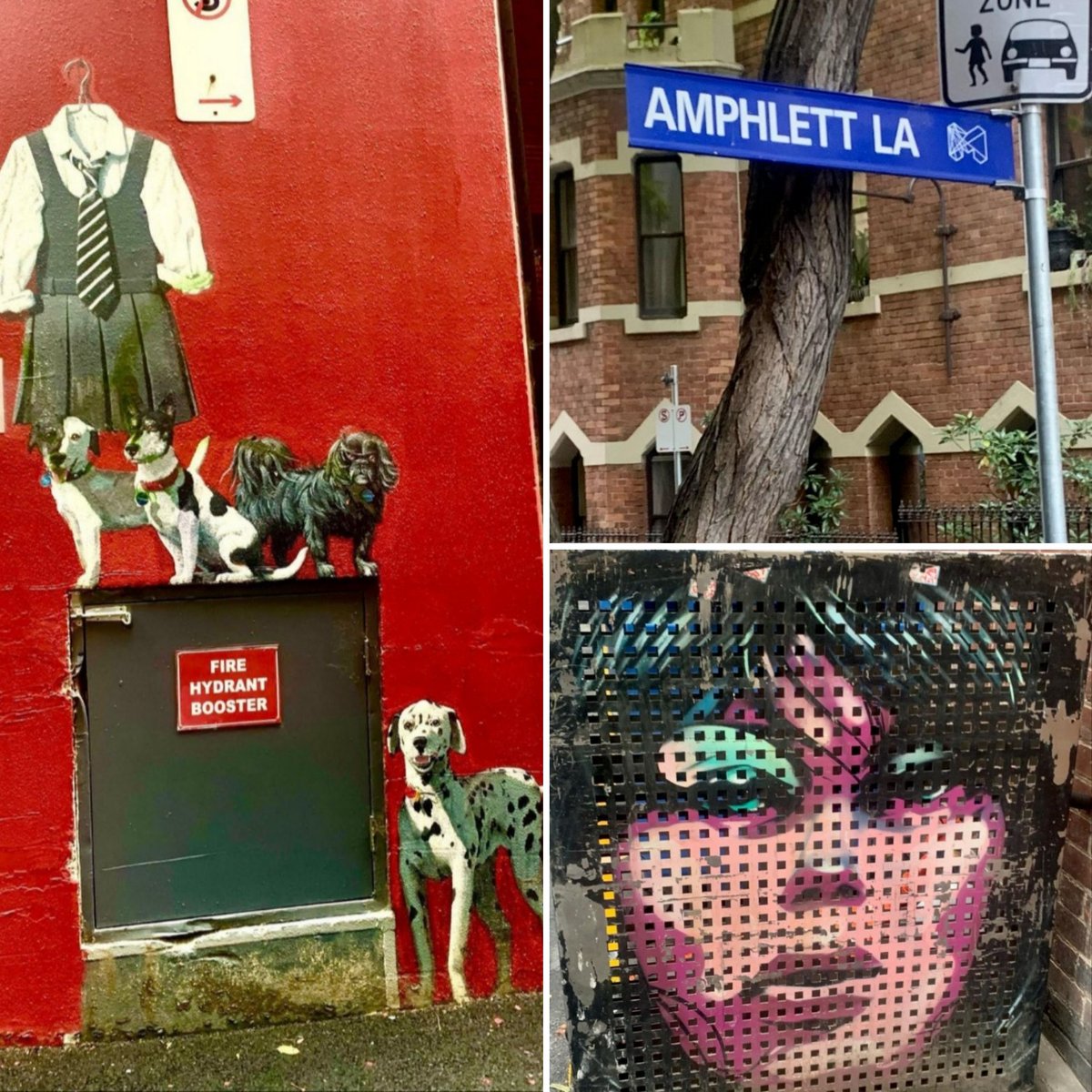 Photos of Amphlett Lane taken in Melbourne this week by Mark Hopper Photography 😊👍 #chrissyamphlett #amphlettlane #melbourne #divinyls #aussiemusic #streetart #melbournelaneways