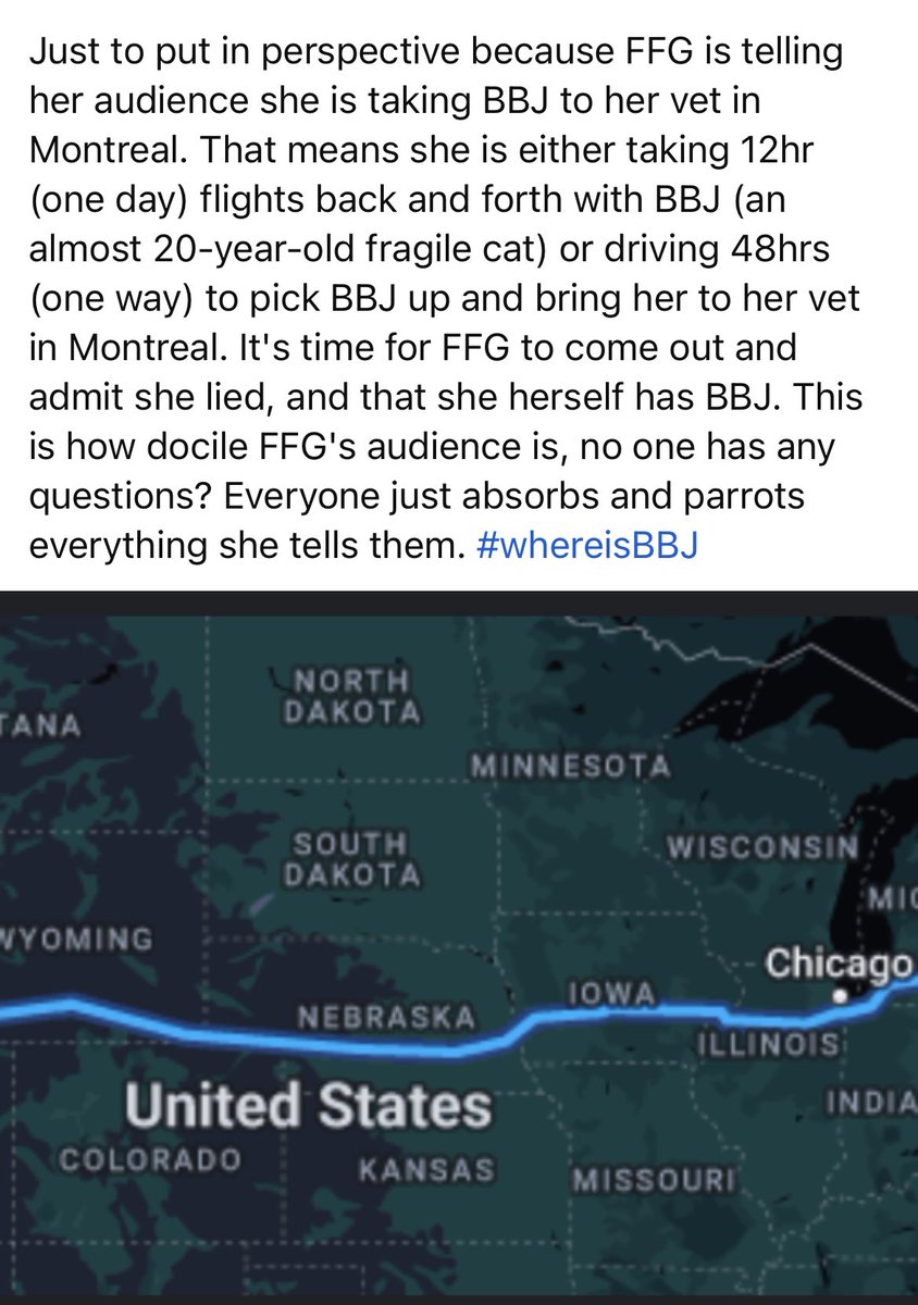 GenX1110's tweet photo. @TushyGaloreDeux Kinda weird the person FFG claims has the cat lives in the U.S. but FFG personally takes BBJ to the same vet as her dogs? ๐ค๐คฅ #whereisBBJ #FoodieBeauty https://t.co/GCLT0M5IwV