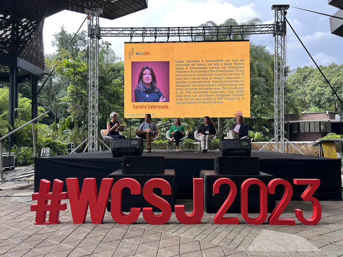 Holly Potter tweet media