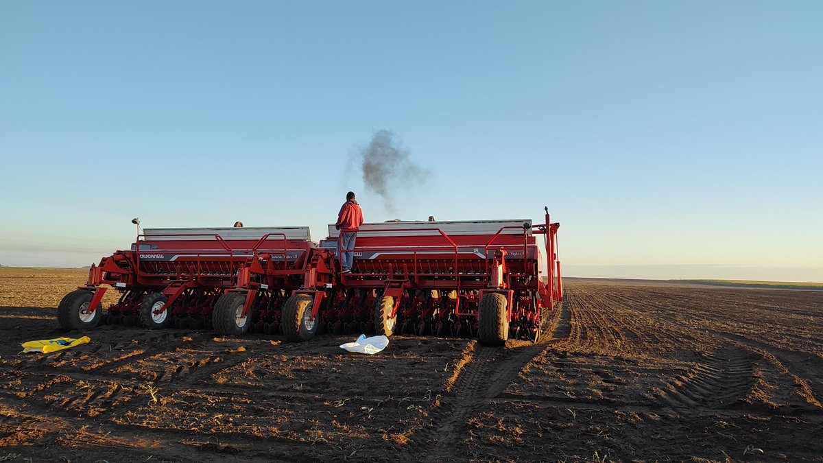 Gracias a las precipitaciones comenzamos con los ensayos on farm🌱 
Trabajar a cielo abierto no es fácil, es un desafío constante con muchos altibajos. Celebro a las personas que día a día siguen apostando a esta actividad.
<a href="/GentosArg/">Gentos Argentina</a>
#gentedepastos 

Sancti Spíritu, Santa Fe.