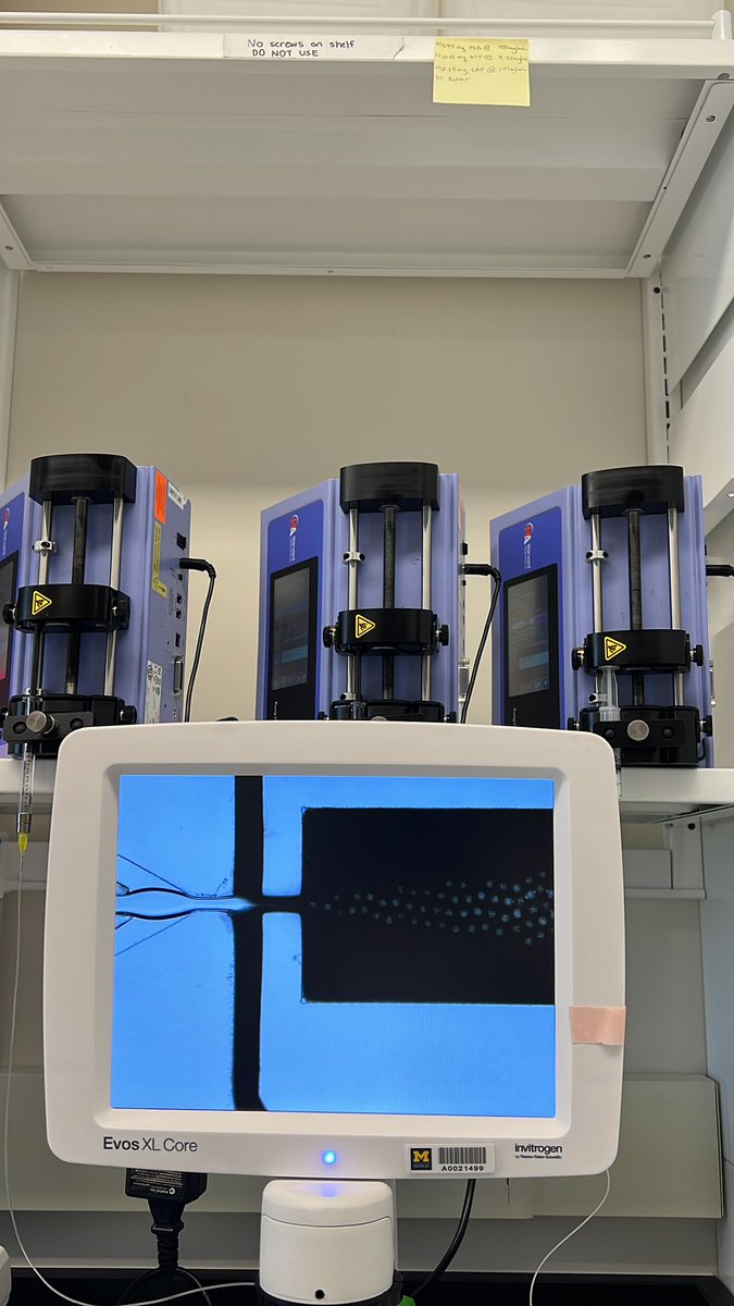 nicolemracca's tweet photo. Not only did I get my first successful microfluidics run done but I did four batches today! What even! It’s really the little wins that mean a lot. https://t.co/bn78gq9PWq