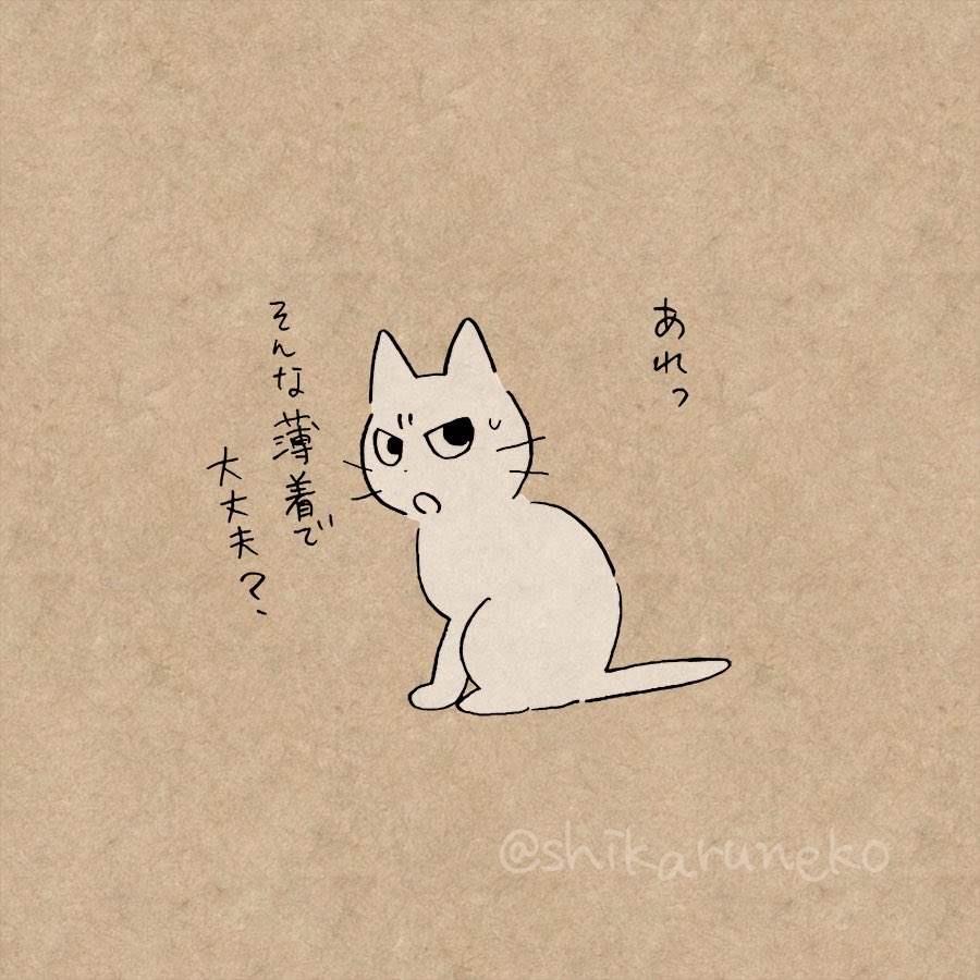 寒いのに「春だから」と我慢する人を叱ってくれる猫 