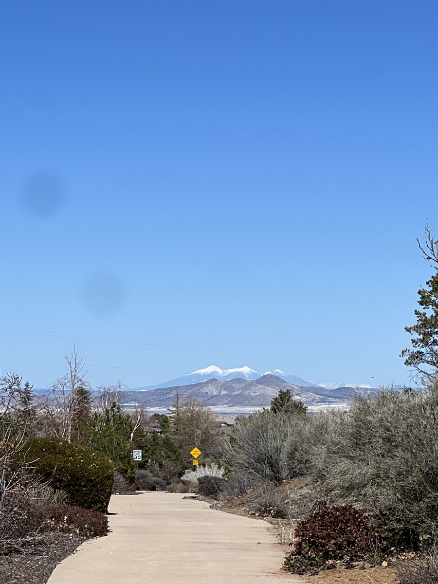 Elke ܬ̇ܝܳܕ̣ܽܘܪܰܗ Speliopoulos ♱ 📿 tweet media