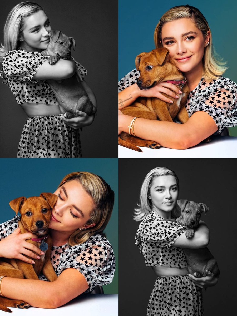 bestofpugh's tweet photo. florence pugh for buzzfeed’s puppy interview https://t.co/kxLBSyfYX3