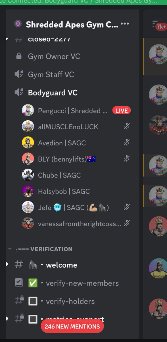 halsybob09's tweet photo. The Shredded 👑 @Pengucci_ has briefed his troops... #Rebirth is coming! 🤫
@ShreddedApes 
@Shred_Labs https://t.co/jfhjZzTIev