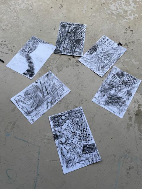 Busy last class for Mixed Media! We did blind contour drawings, non dominant hand drawings &amp; texture etchings w/charcoal. All to get them thinking about different ways to draw! It's not always straightforward but if they look closely they can turn anything they do into a drawing!