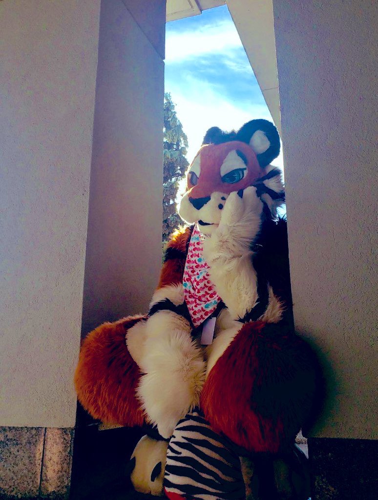 StarkyStripes's tweet photo. @TrexlerPVP https://t.co/z2pQYoggMt