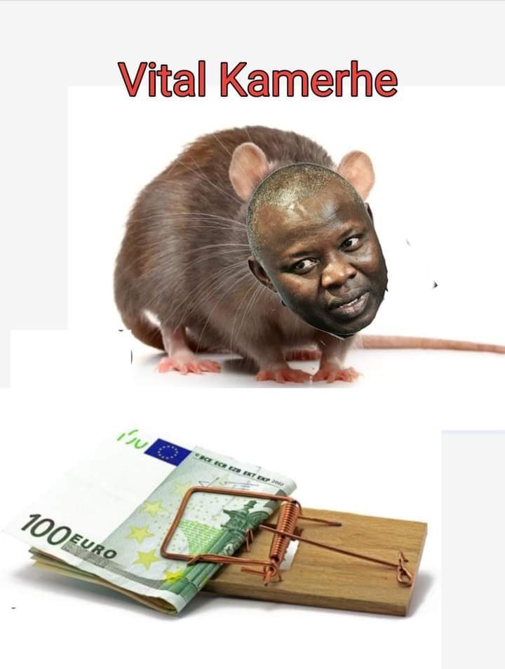 MugobeS's tweet photo. Le voilà enfin le vagabond et voleur @VitalKamerhe1 est de retour à Kin. #Angwalima https://t.co/eqG0Ek12zo