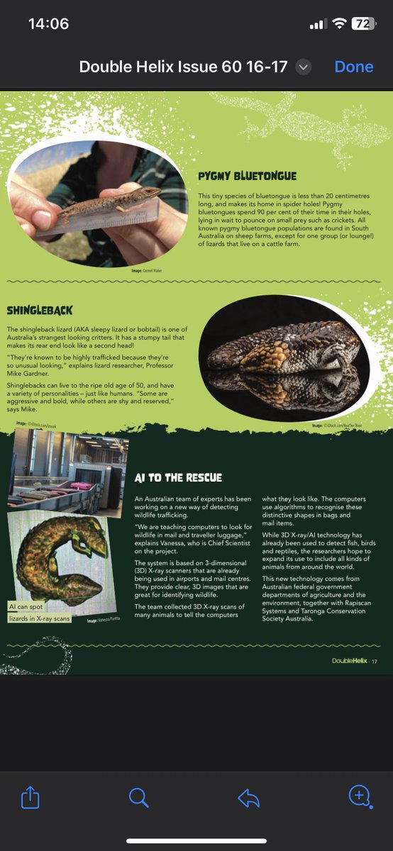 Dr. Vanessa Pirotta (@vanessapirotta) on Twitter photo A brilliant feature of our wildlife trafficking detection research in <a href="/CSIRO/">CSIRO</a> Double Helix magazine.
We’re teaching computers to look for smuggled wildlife in mail and traveller pathways.
A collaboration with <a href="/DAFFgov/">Department of Agriculture, Fisheries and Forestry</a> , <a href="/DCCEEW/">DCCEEW</a>, <a href="/RapiscanSystems/">Rapiscan Systems</a> & <a href="/tarongazoo/">Taronga Zoo</a>
#wildlifetrade A brilliant feature of our wildlife trafficking detection research in <a href="/CSIRO/">CSIRO</a> Double Helix magazine.
We’re teaching computers to look for smuggled wildlife in mail and traveller pathways.
A collaboration with <a href="/DAFFgov/">Department of Agriculture, Fisheries and Forestry</a> , <a href="/DCCEEW/">DCCEEW</a>, <a href="/RapiscanSystems/">Rapiscan Systems</a> & <a href="/tarongazoo/">Taronga Zoo</a>
#wildlifetrade