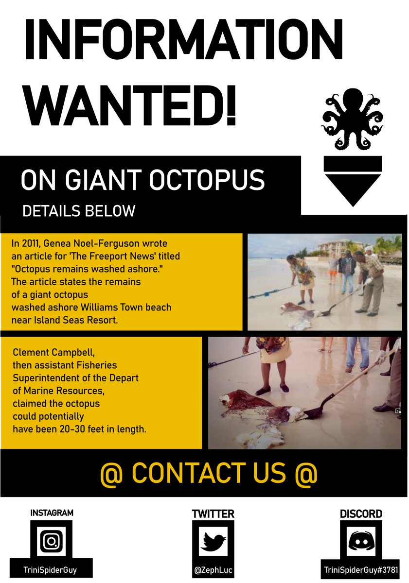 LucZeph's tweet image. Please send this out to any Bahamian you may know! #Lusca #Bahamas #Bahamian #MarineBiology #Cephalopod #Octopus
