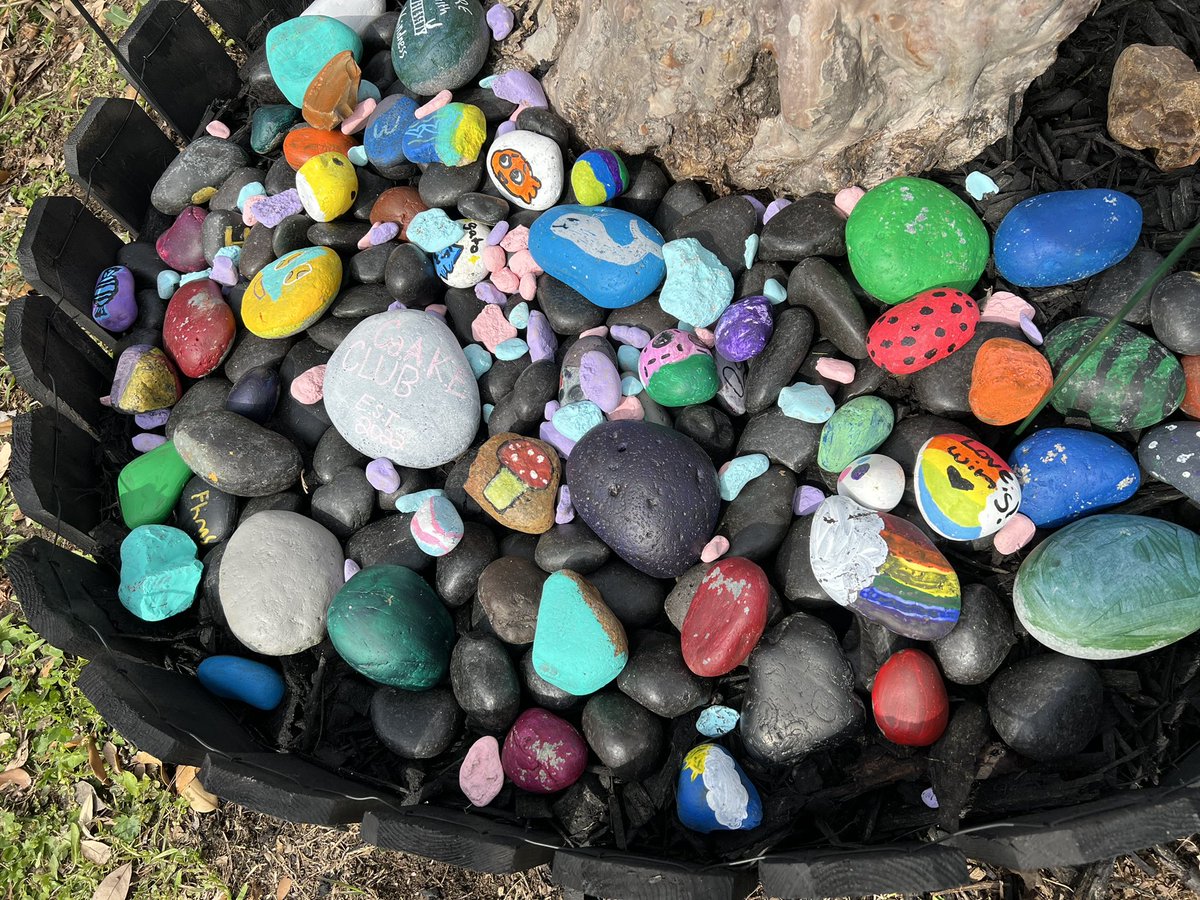 MrMooreFHMS's tweet photo. C.a.A.K.E. Club Rock Garden updates! #PantherPride #fhmslimitless #CelebrateKISD #BeKindAlways https://t.co/fYZTnXD0tY