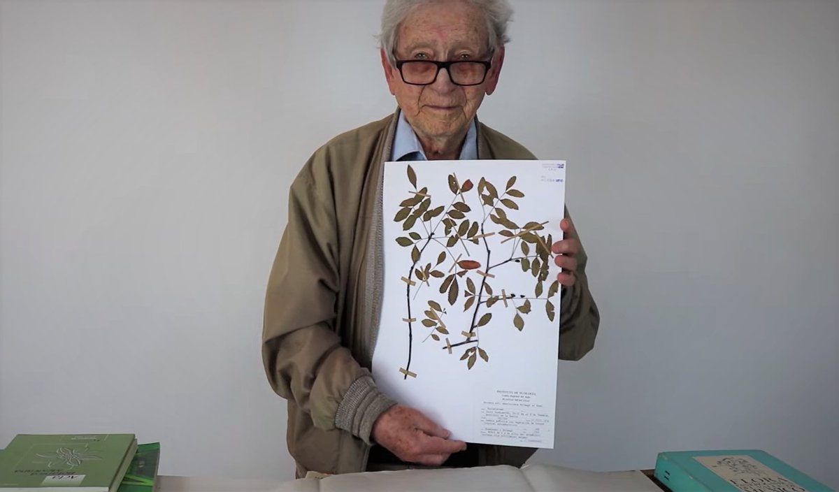 Lamentamos informarles del sensible fallecimiento del Dr. Jerzy #Rzedowski

Hasta sus 96 años, escribió 7 libros, 47 capítulos, 130 artículos, 31 fascículos. Colectó &gt;54 mil ejemplares y publicó 188 #especiesnuevas, la última en 2022.

Descanse en paz, El Botánico del Milenio.