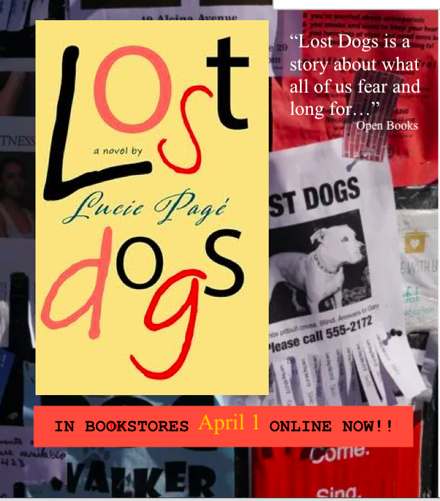 Harrison Artist Management tweet media