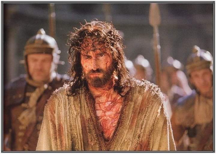 figliodiDio3's tweet photo. ¿Cómo sabemos si estamos en Cristo?

"Quien guarda su Palabra, ciertamente en él el amor de Dios ha llegado a su plenitud. En esto conocemos que estamos en él. Quien dice que permanece en él, debe vivir como vivió él"
1 Jn 2,4-6 https://t.co/AroyU12TfK