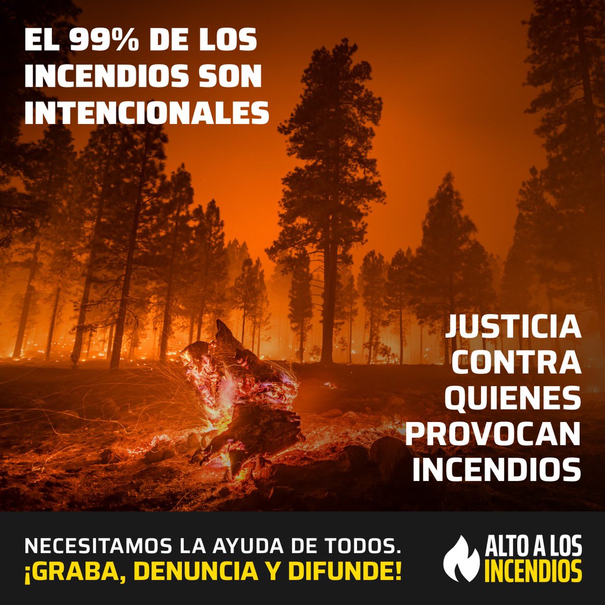 Los 🔥 no se detienen y cada día sufrimos sus consecuencias.
 
Los brigadistas, bomberos y personal de seguridad arriesgan sus vidas incesantemente.
 
Y, ¿sabes qué es lo más terrible?
 
Que hay quienes provocan 🔥 de manera intencional y hoy están LIBRES.

#DENUNCIEMOS #DIFUNDE