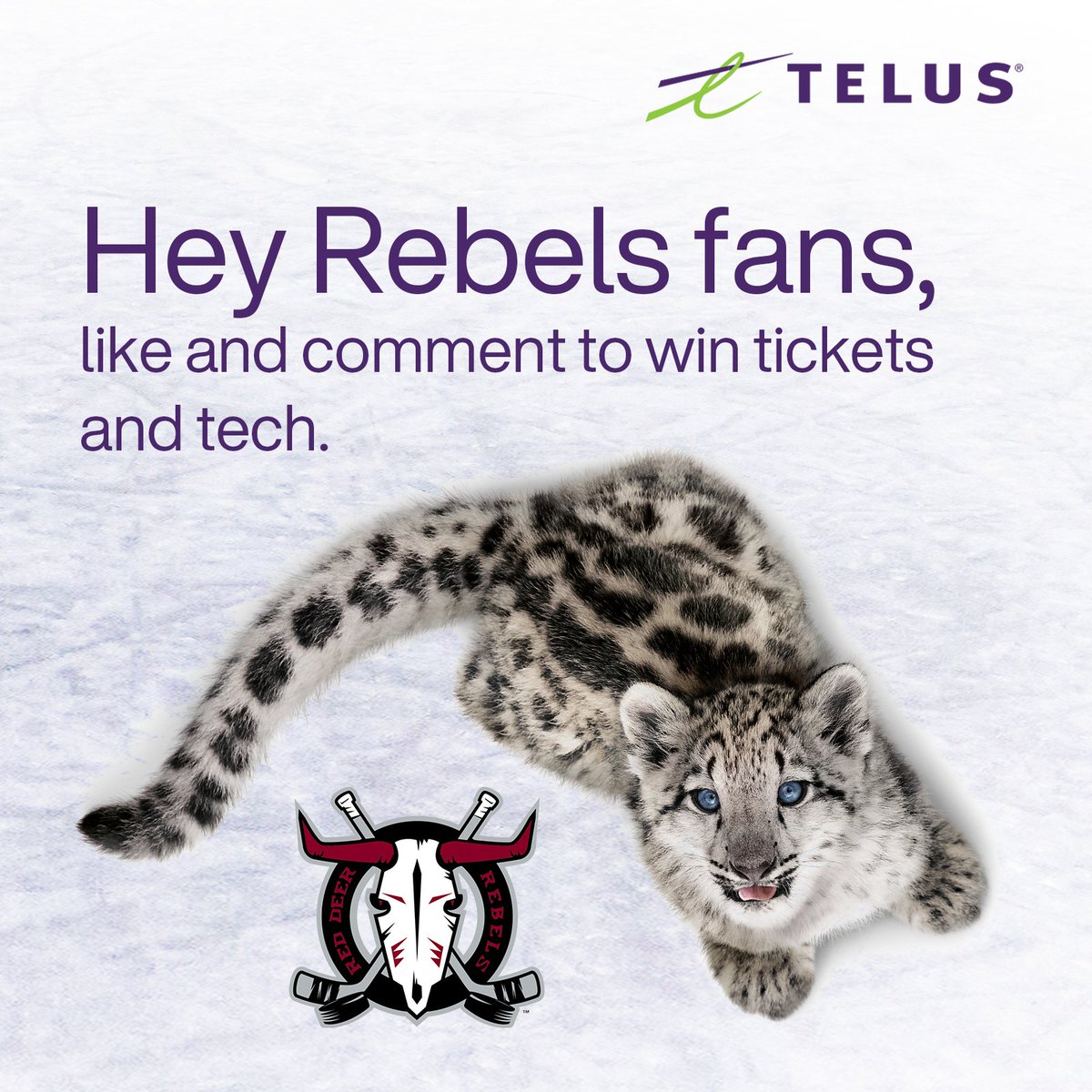 Red Deer Rebels On Twitter How Would You Like To Win Some Tickets And red-deer-rebels-on-twitter-how-would-you-like-to-win-some-tickets-and
