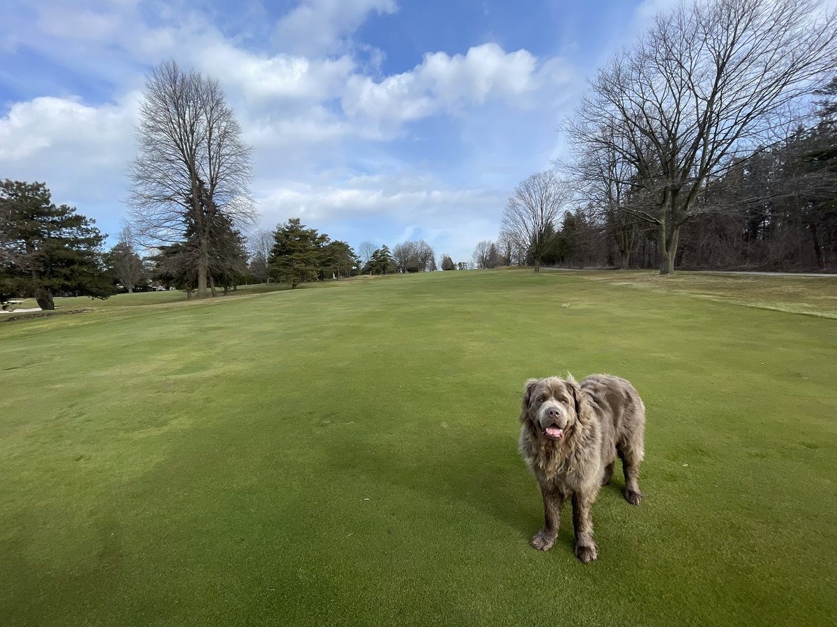 Mike MacGillivray tweet media