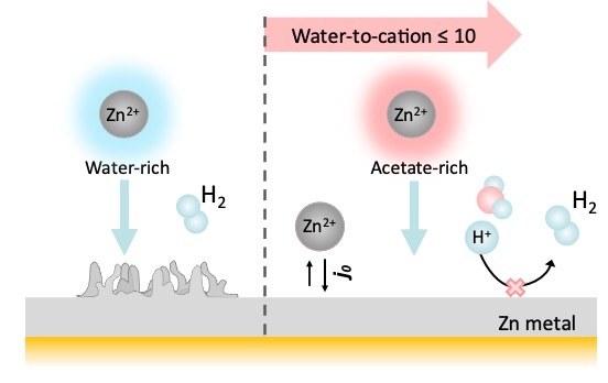 Excited to share our latest work on 'Creating water-in-salt-like environment using coordinating anions in non-concentrated aqueous electrolytes for efficient Zn #batteries'! - now published in Energy & Environmental Science. pubs.rsc.org/en/content/art… #energyresearch #Sustainability