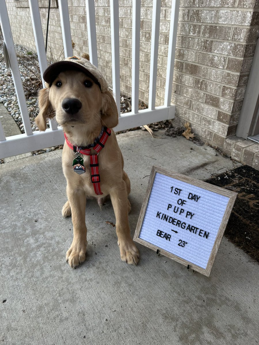 danidannerrr's tweet photo. Are we extra as pet parents??? Yup! 💓 @dannerincoming https://t.co/6SqqQVUeWg