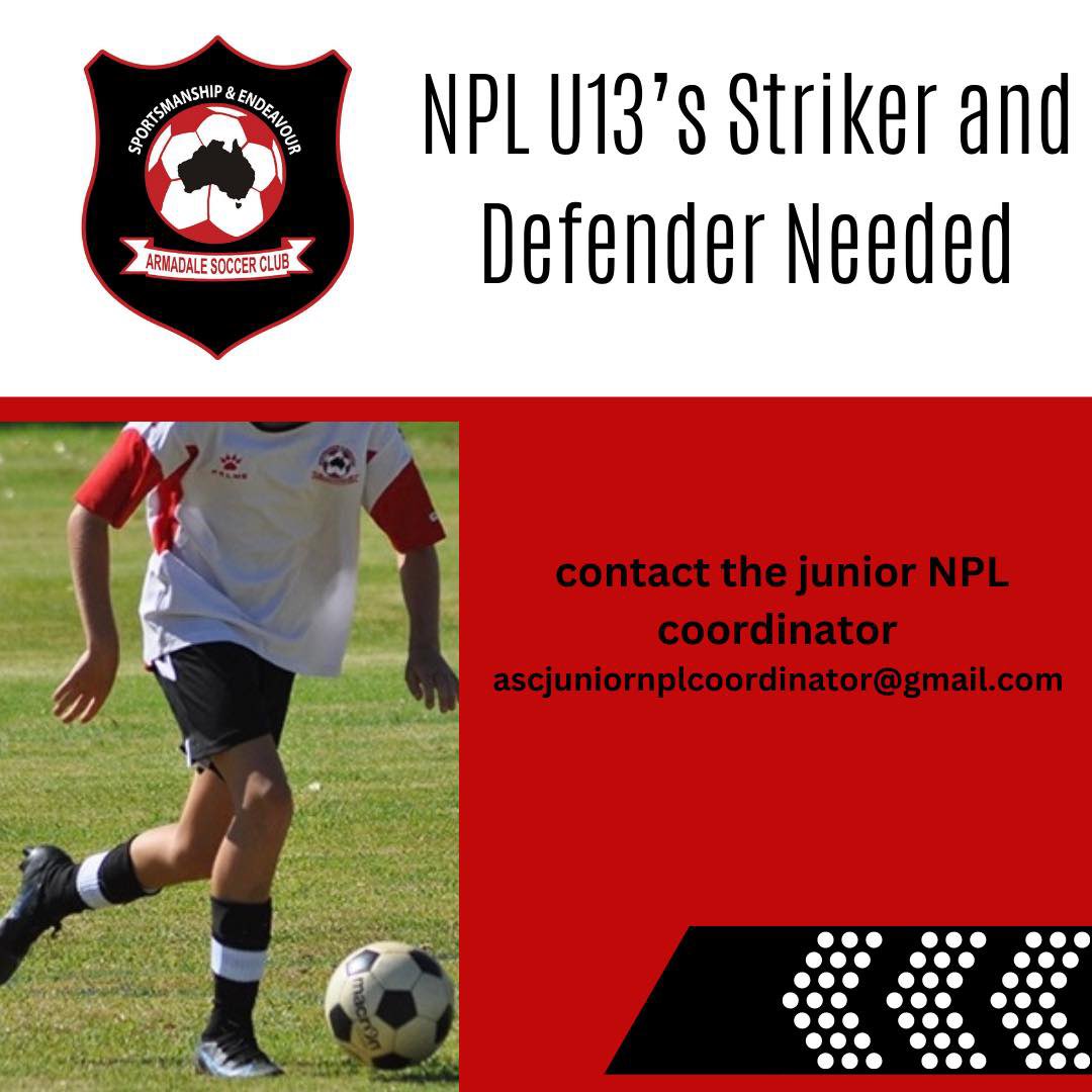 Our U13 NPL team are seeking a

⚽️Striker
⚽️Defender 

To complete their team for the season.

If you were born in 2010 and are interested contact ascjuniornplcoordinator@gmail.com with your previous soccer history. #WeAreArmy #OneClub