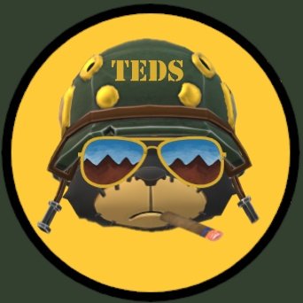 NeoTeddies.neo tweet media