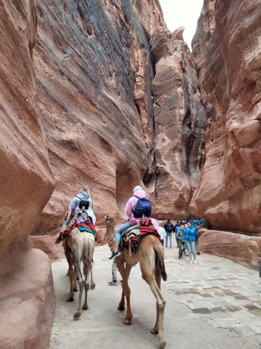 92021309Javier's tweet image. #MscSplendida