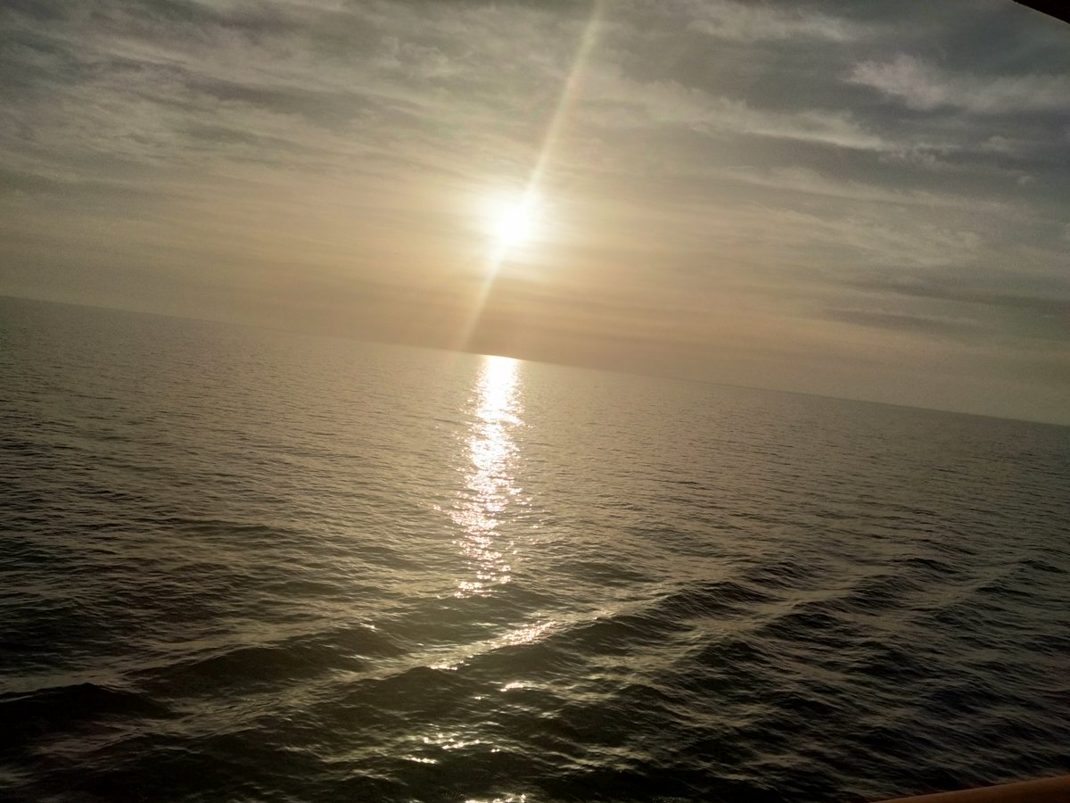 92021309Javier's tweet image. #MscSplendida