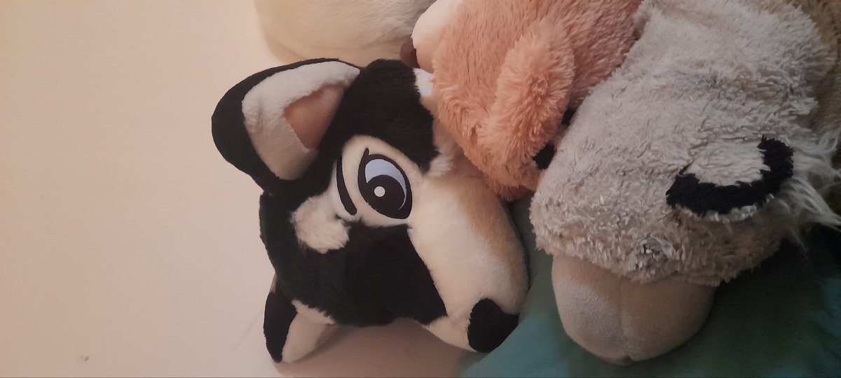 luckylittlefuzz's tweet photo. @Littlebabypep Big plushie https://t.co/SIQDw2d2ee