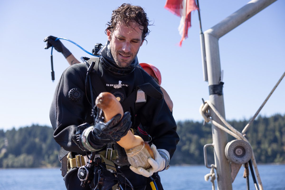 Geoduck boats have 3 crew members: 2 divers + a tender. The divers take turns underwater, and shifts last 2 – 3 hours.  

Tune in to #YourNationsTable on @JoytvBC to learn about the methods used to harvest @Geoduck_Canada:  bit.ly/3Zp8Adr. #BuyBC #bcseafood #geoduck
