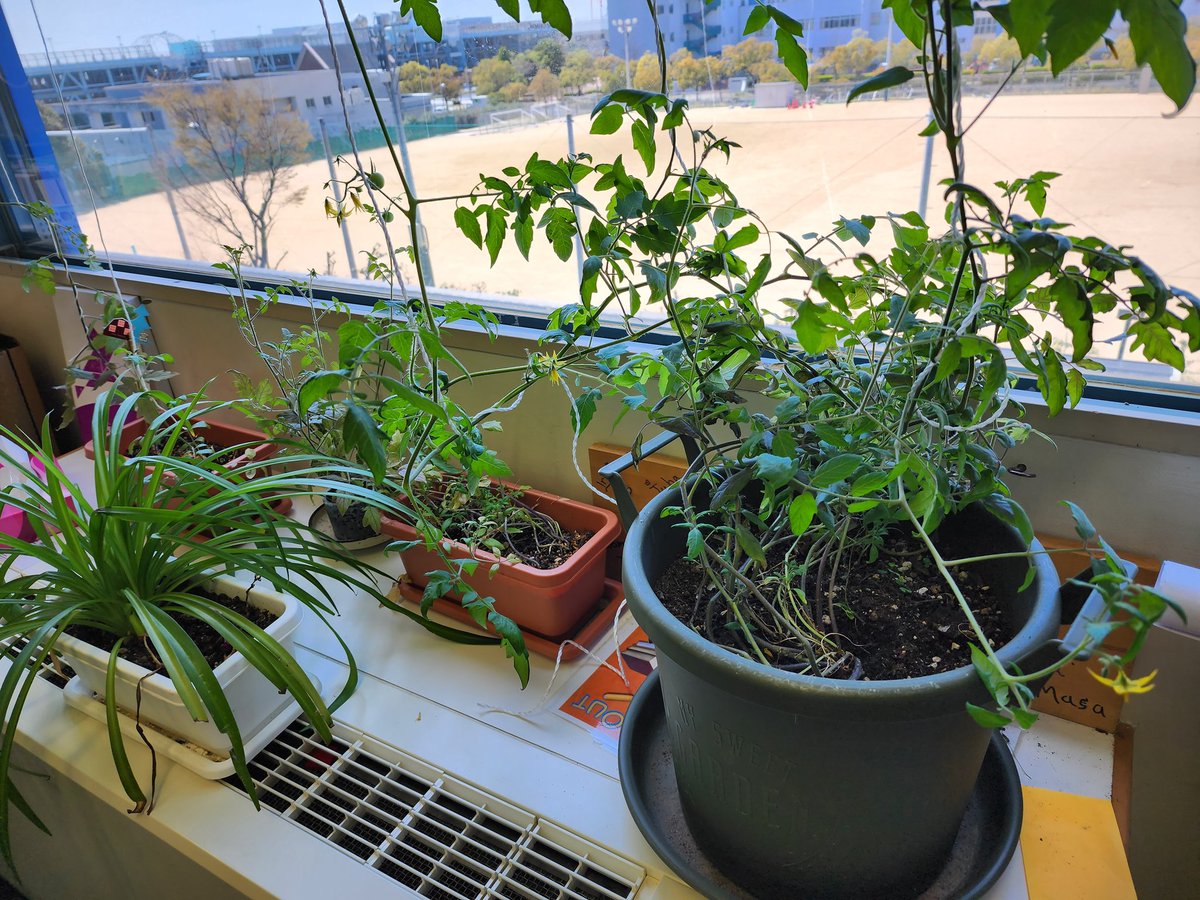 Steve Rampling tweet media