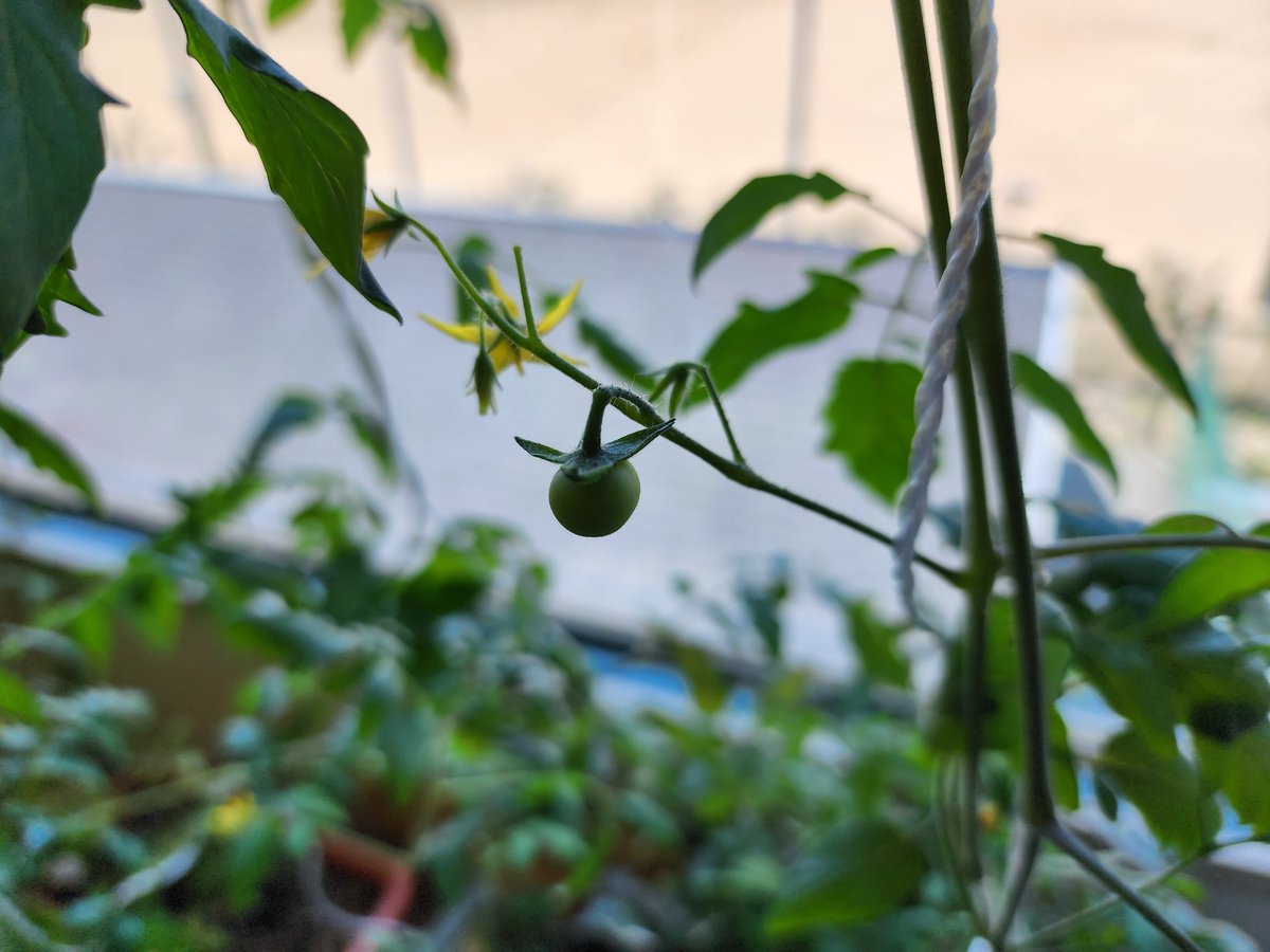 Steve Rampling tweet media