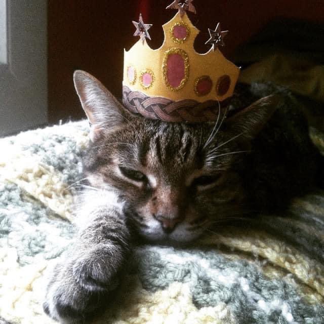 JP the Sweetie tweet media