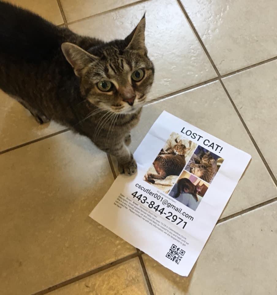 JP the Sweetie tweet media