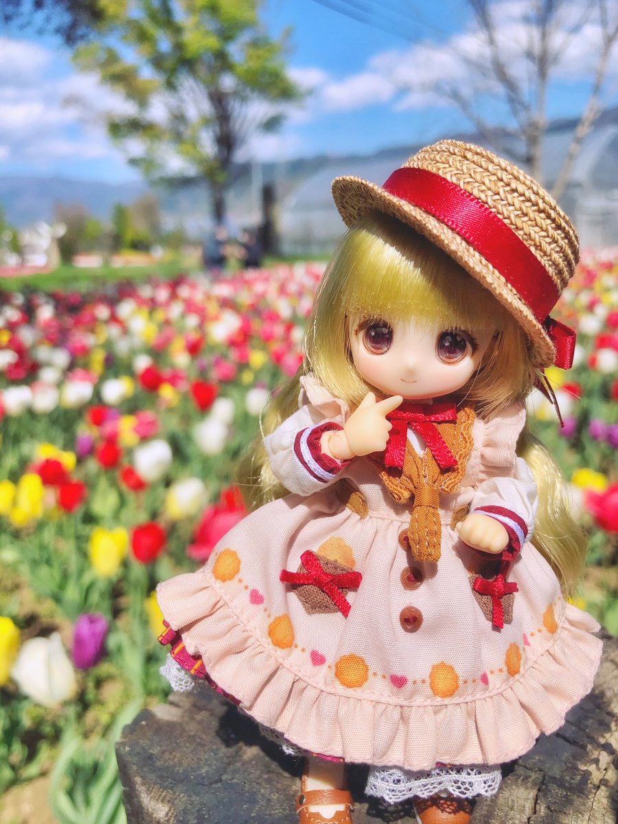kosame_doll's tweet photo. こんにちは♪
今日は久しぶりに青空が見えて気持ちいい…！
前に出かけた時のですが春っぽく🌷
#シュガーカップス 
#ビスケティーナ https://t.co/p0sG4vIEBa