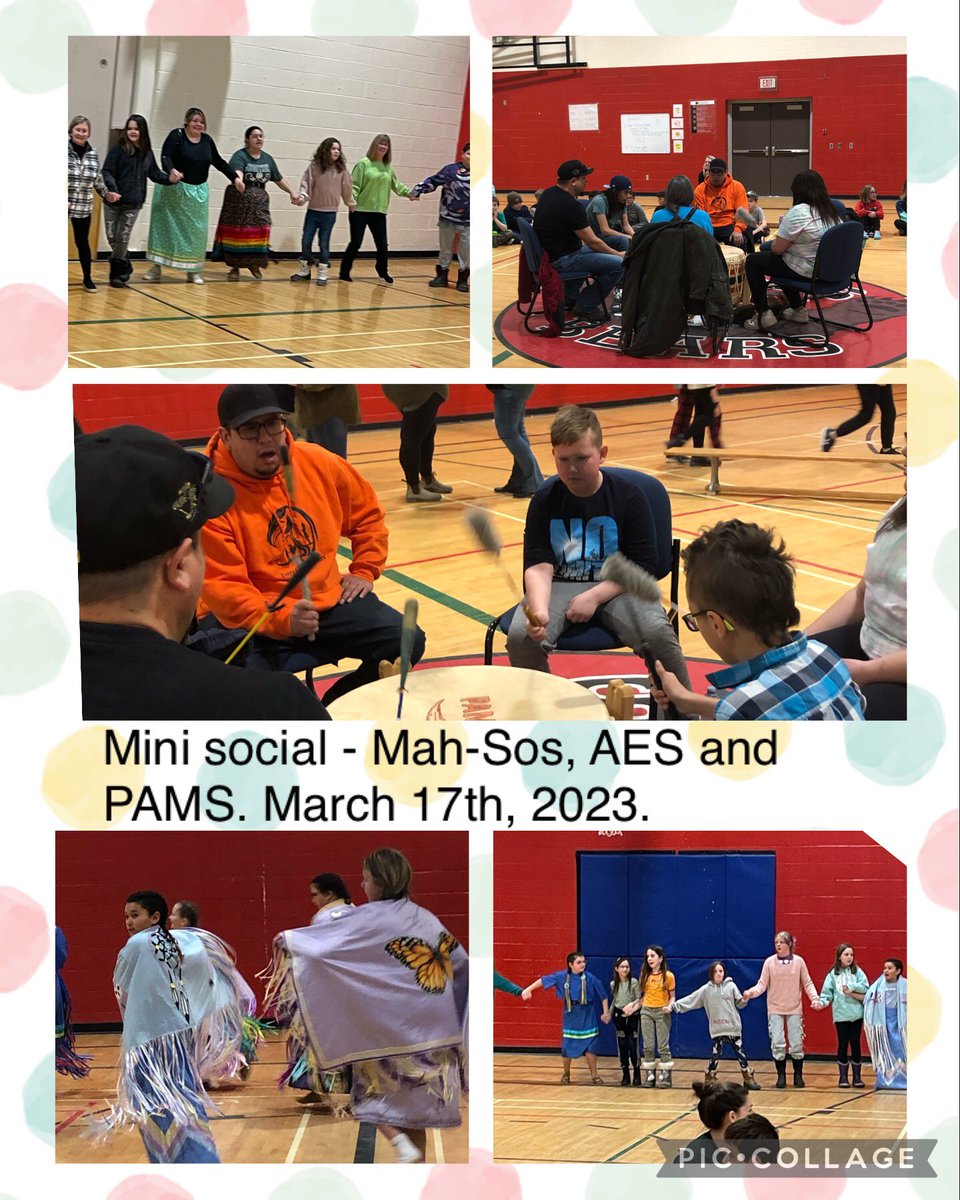 PAMS Bears tweet media