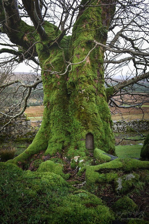 a girl tells u to come over but she lives here