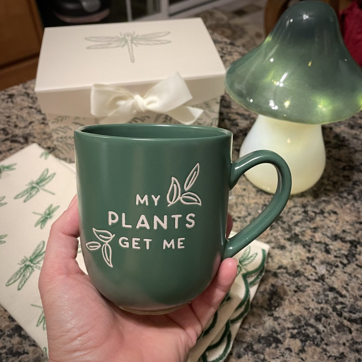 tracy_woods_'s tweet photo. A little birthday eve celebration tonight. 🥳 #myplantsgetme #birthday #birthdayeve #makingawish https://t.co/tcP9IVIKB7
