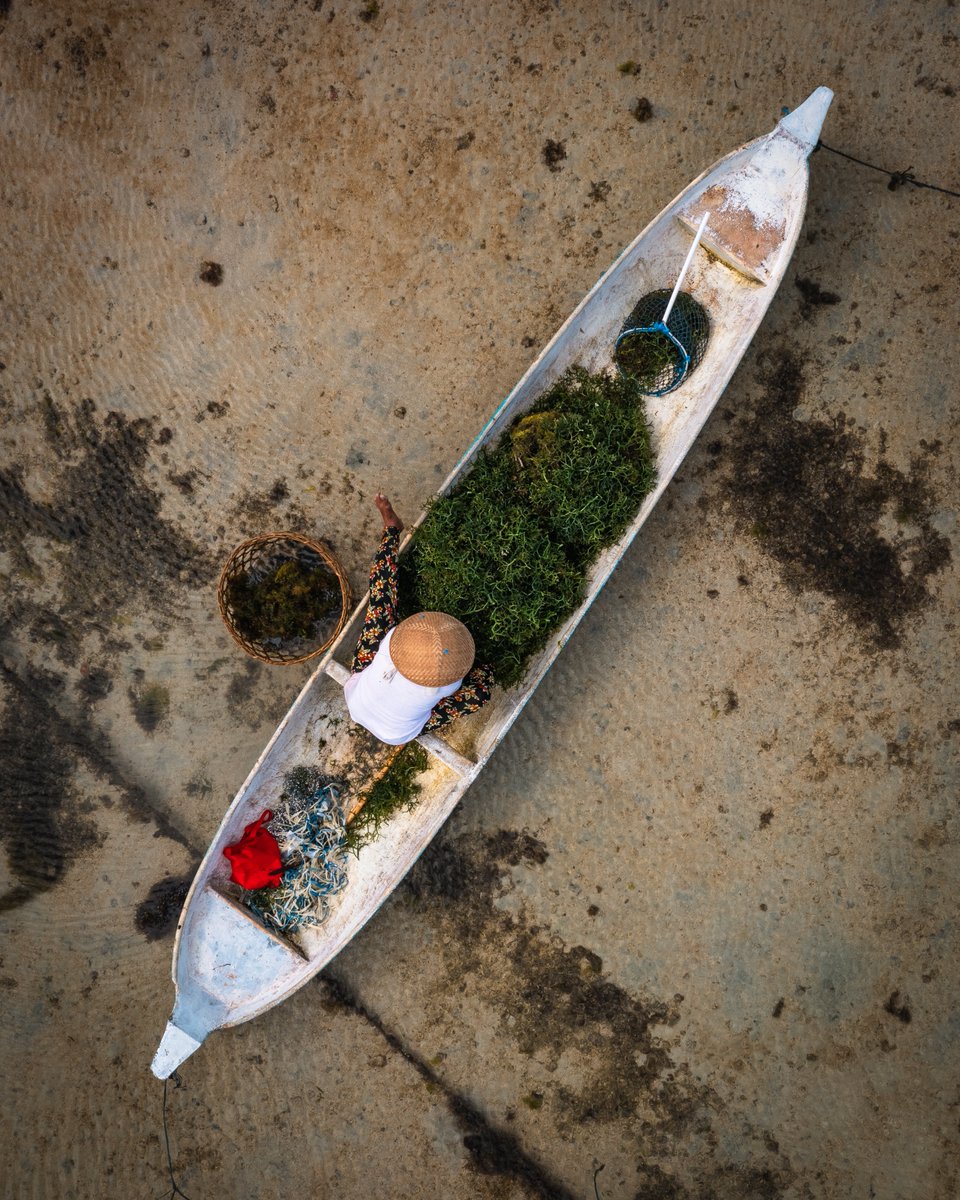 Al__Mills's tweet photo. The Seaweed farmers of Nusa Lembongan 
@DJIGlobal @NatGeo #natgeo https://t.co/jFZIdrXy4q