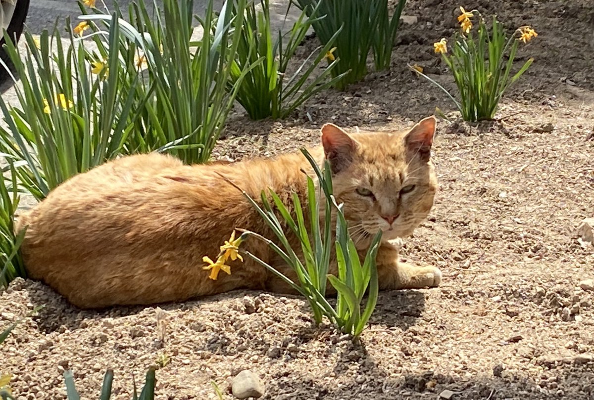 hsmw6 (@hsmw66) on Twitter photo 