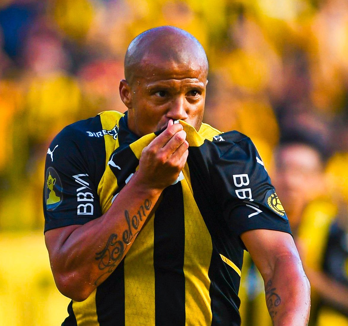 TinchoRey7 tweet media