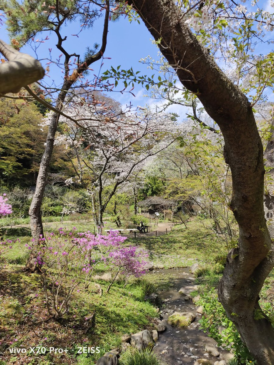 WerthLeon1's tweet photo. #三溪園 　
#X70Pro+   →　#X90Pro+
共にzeiss Natural Color https://t.co/1VLAa5Nmqu