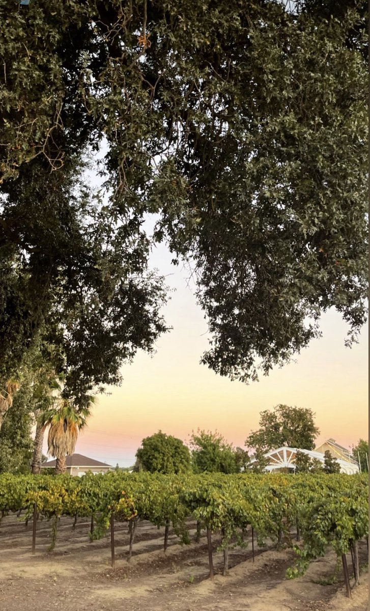 Stay tuned…….this view is coming soon! 

Photo credits to: Rebecca Skidgel Photography

#barnwedding #barnweddingvenue #sacramentowedding #sacramentoprivateevents #sacramentowinery #wineclub