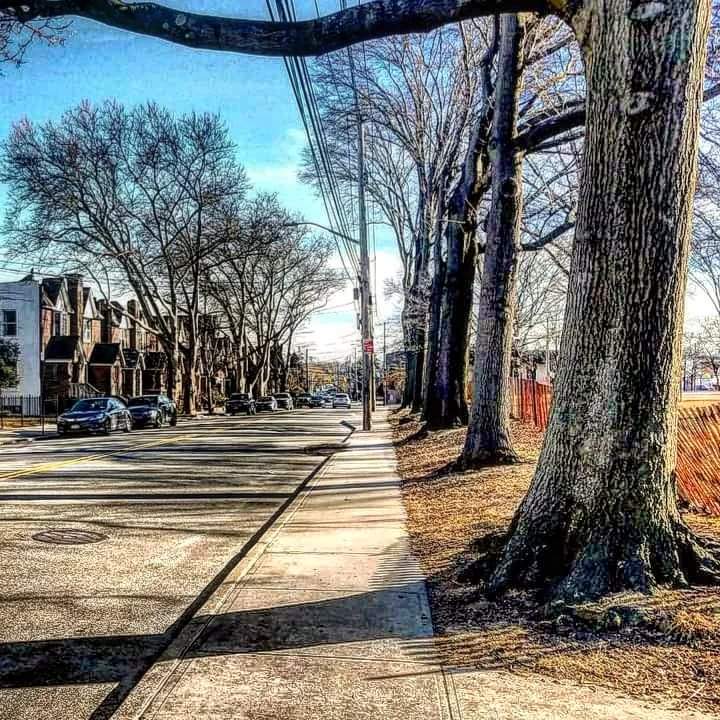 Rochdalian's tweet photo. Looking down Dry Harbor Road by Juniper Valley Park in #Middle_Village, #Queens. https://t.co/CF2ExjDPfU