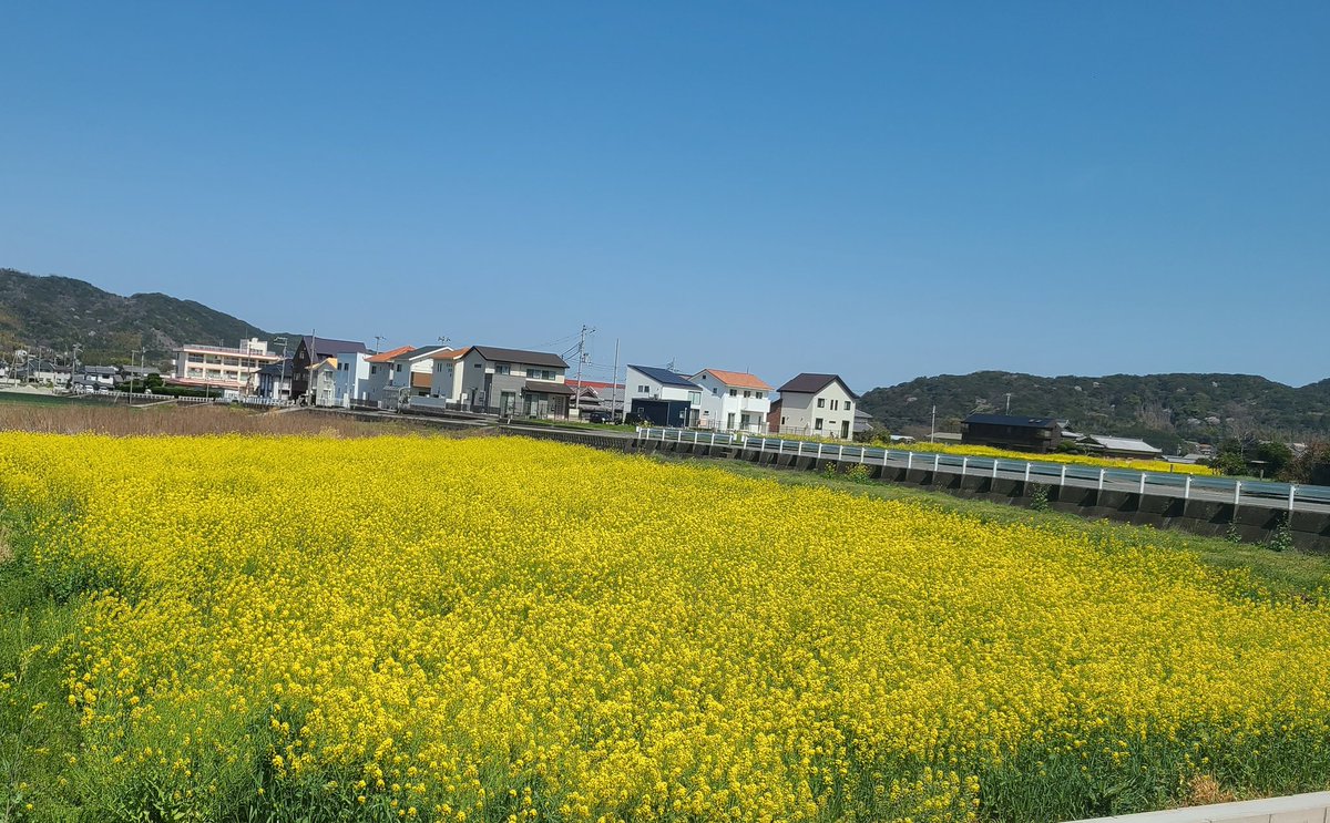 mika_0343009's tweet photo. ぐっぱい淡路 https://t.co/VMCyYrY1PQ